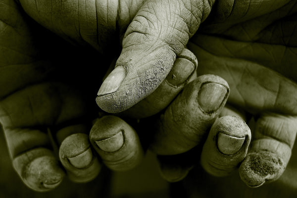 With These Hands